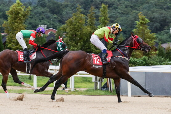 어마어마. 사진=렛츠런파크 부산경남 제공