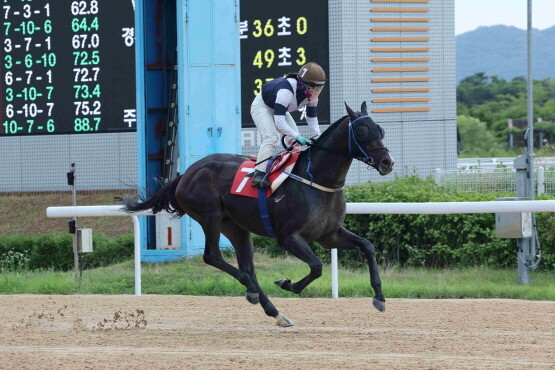 제17회 오너스컵 우승마 스피드영과 김혜선 기수. 사진=렛츠런파크 부산경남 제공