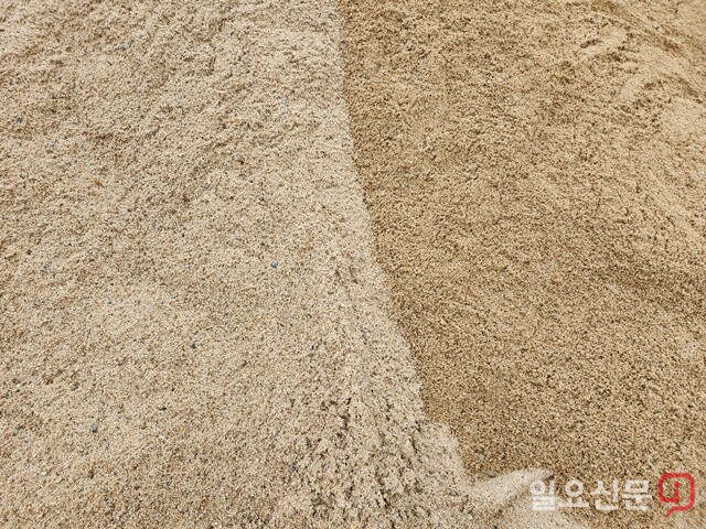 비로 토분이 씻긴 모래(왼쪽)와 토분이 함유된 모래가 확연한 차이를 보이고 있다. 사진=정민규 기자