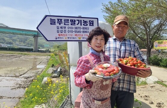 새통영농협 김세현·김갑선 부부. 사진=경남농협 제공