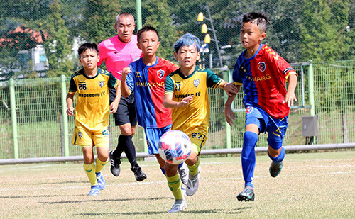 2024 화랑대기 전국 유소년축구대회 경기 장면. 사진=경주시 제공