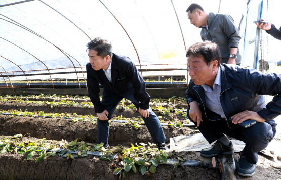 농업 피해현장 점검 장면. 사진=경남농협 제공