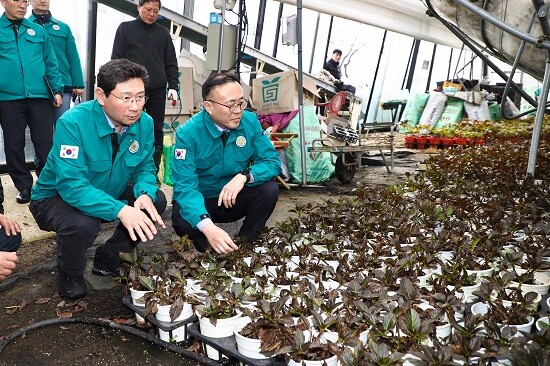 이상일 용인특례시장이 1일 이한경 행정안전부 차관과 폭설 피해를 입은 처인구 남사읍 진목리 화훼농가 현장을 점검하고 있다. 사진=용인특례시 제공