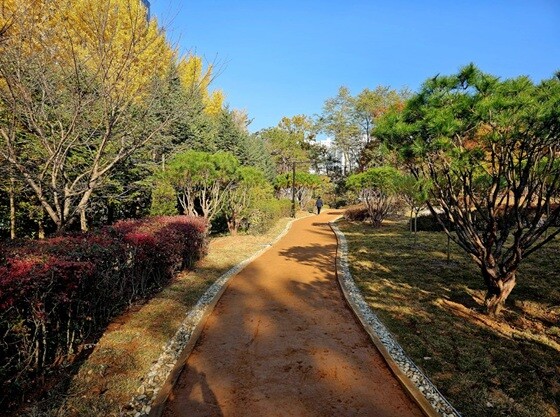 탄현공원 자연 흙길 및 산책로. 사진=고양특례시 제공