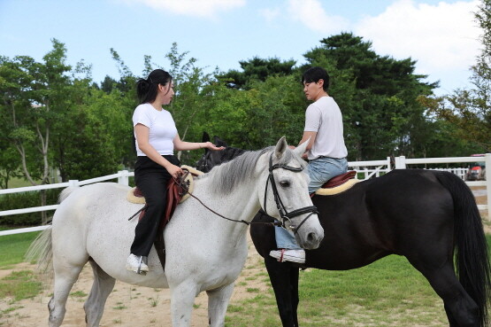 미혼남녀가 렛츠런파크 승마랜드에서 말과 함께 즐거운 한때를 보내고 있는 모습. 사진=렛츠런파크 부산경남 제공