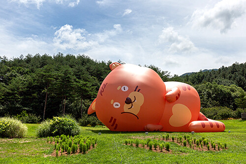 백두대간 '봉자 페스티벌'. 사진=경북도 제공