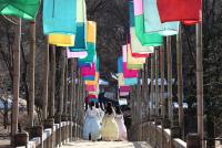 [시선25] 을사년 힘찬 출발 기원하셨나요? 한국민속촌 설맞이 풍경