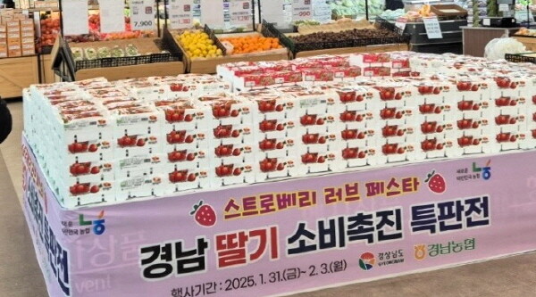 딸기 소비촉진 행사 참고 이미지. 사진=경남농협 제공