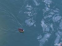 [시선25] 한강도 경제도 꽁꽁…입춘 한파 속 얼어붙은 한강