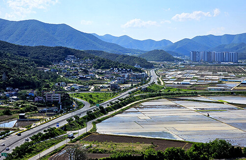 현곡면 금장교차로 전경. 사진=경주시 제공