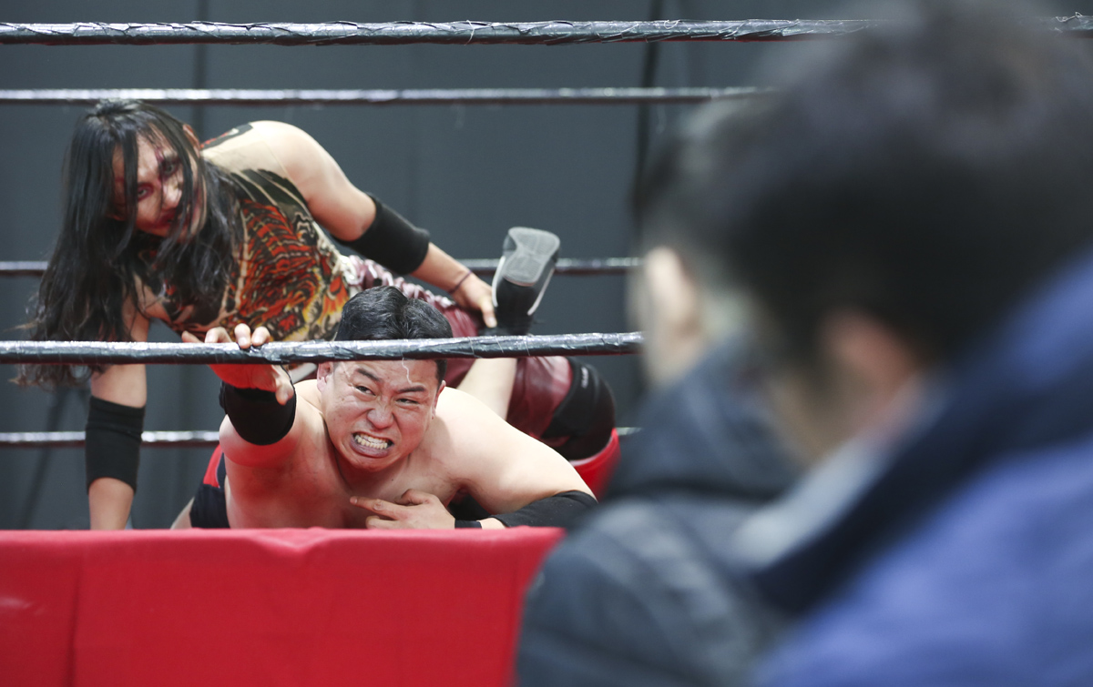 [시선25] AKW '쇼다운8' 한국 프로레슬링 부활을 꿈꾸며…