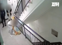 '10살 아들 보는데…' 경찰, 2층 창밖으로 반려견 던진 부부 내사 착수