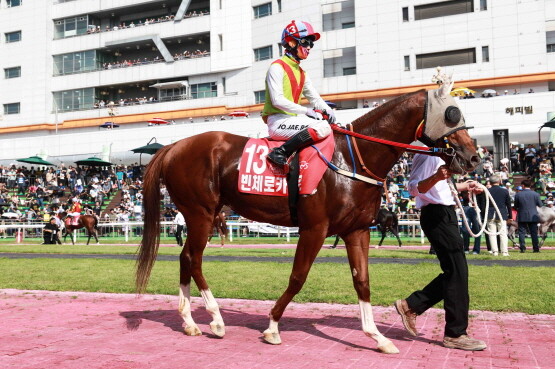 빈체로카발로. 사진=렛츠런파크 부산경남 제공