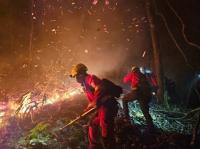 잇단 경고음 외면하더니…'K-산림관리' 선언한 날 초대형 산불