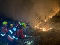 전국 곳곳 산불, 진화 왜 더딜까…"건조한 날씨 탓에 불길 빠르게 번져"