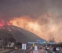 "도로 통제로 길 가로막혀"…안동 등 산불지역 시민들 '발동동'