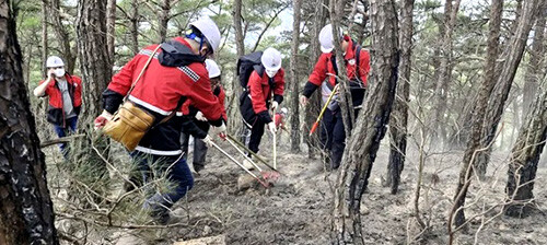 27일 오전 대구 달성군 함박산에서 관계당국이 잔불을 정리하고 있다. 사진= 달성군 제공