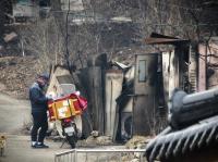 [르포] 집 전소 되고도 밭일 못놔 일터로…경북 '괴물 산불' 피해 현장