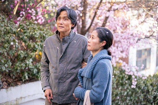 사진=넷플릭스 '폭싹 속았수다' 스틸컷