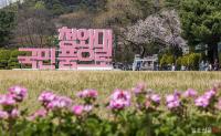 [시선25] '대선 후엔 다시 닫힐지 몰라' 봄꽃 만발 청와대 관람객 급증