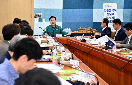저출생 극복 전문가 워킹그룹 전체회의. 사진=경북도 제공