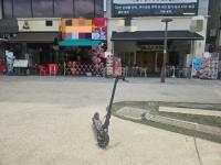 “무서워서 밖에 돌아다닐 수 없다” 안전 도시 동탄 위협한 흉기난동 사건 전말