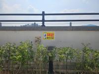 우울증이 낳은 비극? 옥상 추락 여성에 깔린 모녀 사망사건 내막