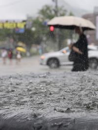 '중간'이 없는 날씨…5일까지 최대 250mm 폭우 쏟아진다