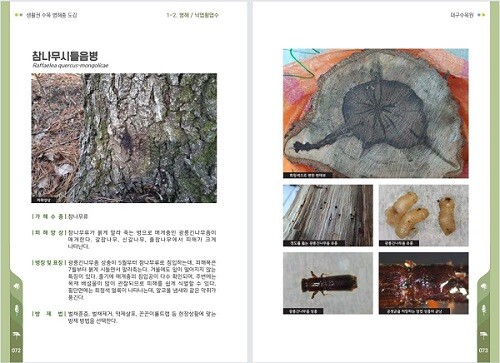 '생활권 수목 병해충 도감'. 사진=대구시 제공