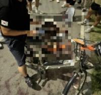 전기자전거에 반려견 매달고 '죽을 때까지' 질주…경찰, 동물학대 혐의 수사