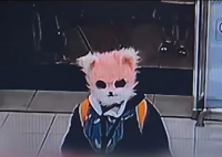 체포되자 "야옹"…마트서 고양이 가면 쓰고 흉기 휘두른 20대 여성 강제입원