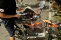 '천안 파샤 학대 사건' 일파만파…이틀 만 서명운동 3만 여명 돌파