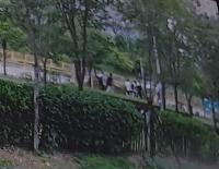 우연한 시비 아닌 ‘학폭’ 연장선? 화성 고교생 집단폭행 내막 