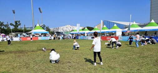 '포항시 반려동물 문화축제' 성황. 사진=포항시 제공