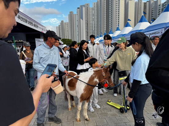 렛츠런파크 부산경남은 제106회 전국체육대회가 열리는 부산 아시아드주경기장에서 말산업을 알리는 홍보관을 열었다. 사진=한국마사회 제공