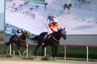 [렛츠런파크 부산경남] 제18회 국제신문배 우승 문학보이 “세대교체 신호탄” 외