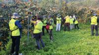 [경남농협] 경남여성리더봉사단과 수확기 농가 지원 외