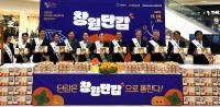 [경남농협] 창원단감 지리적표시제 제117호 등록 기념 팝업스토어·특판행사 외