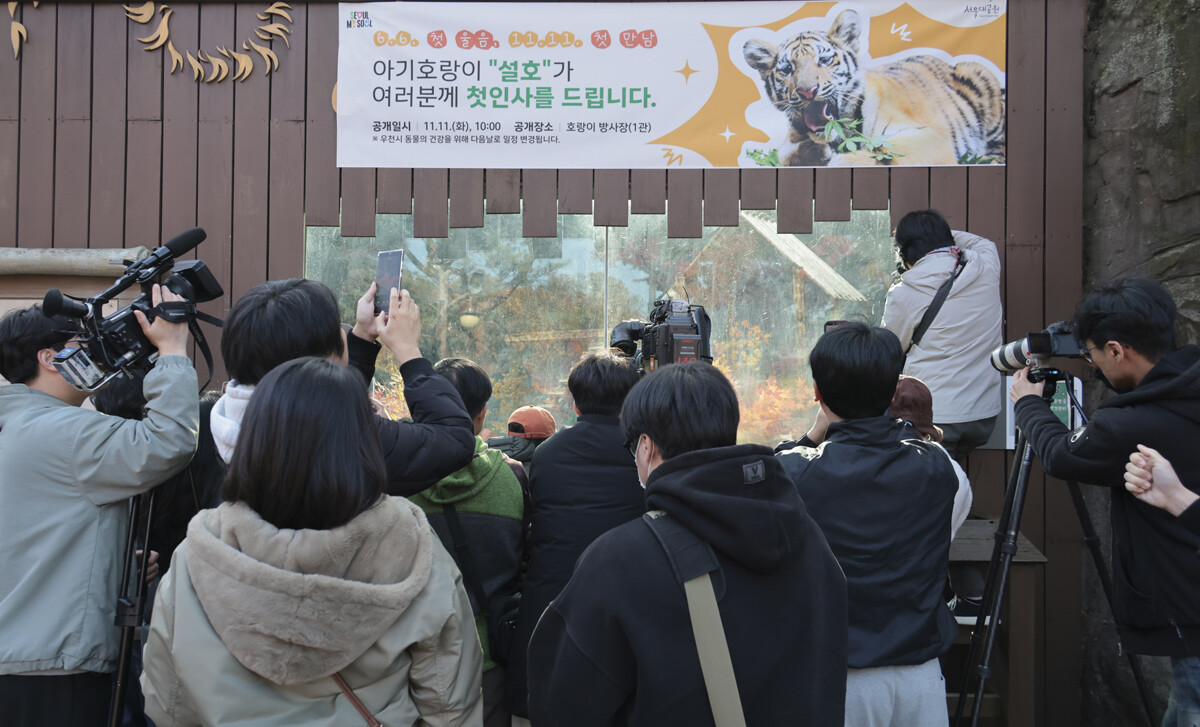 설호를 보려는 시민과 취재진이 서울대공원에 모였다.