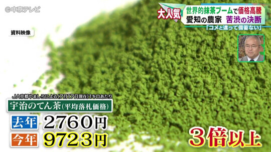 우지 지역의 텐차 평균 낙찰 가격은 1년 사이 세 배 이상 폭등했다. 사진=주쿄TV 뉴스 캡처