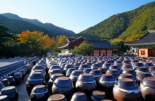 보경사의 가을. 사진=경북도 제공