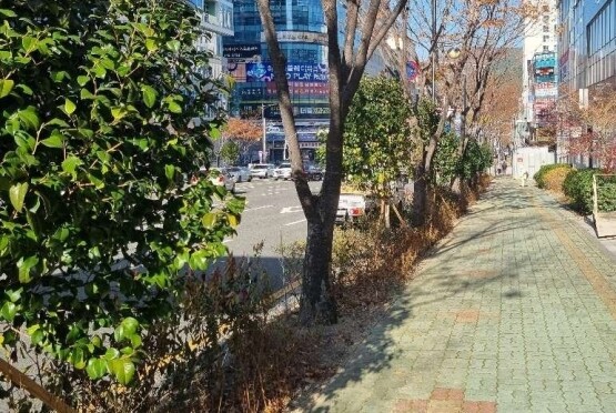 ‘정관신도시 도시바람길숲’ 조성 모습. 사진=기장군 제공