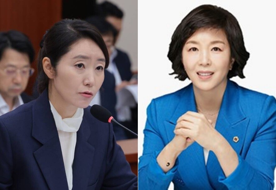 무소속 강선우 국회의원(왼쪽)과 김경 서울시의원(오른쪽). 사진=이종현 기자,  서울시의회 제공