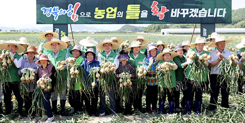 경북도가 농업소득 두 배를 목표로 추진하고 있는 공동영농 수학 현장. 사진=경북도 제공