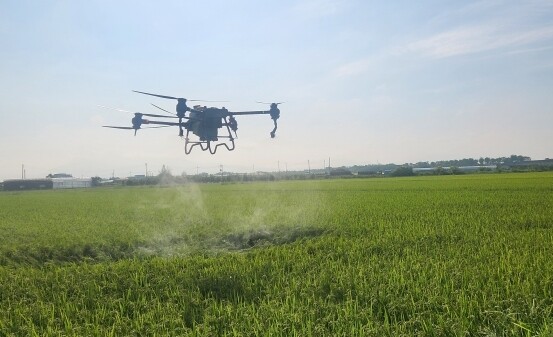 참고 이미지. 사진=김해시 제공