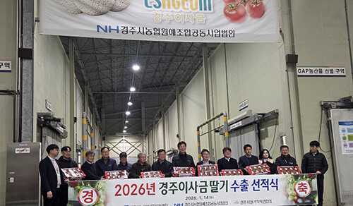 지난 14일 경주시농산물산지유통센터(APC)에서 열린 '2026년 경주이사금 딸기 수출 선적식'에서 관계자들이 태국 수출을 앞둔 경주이사금 딸기를 선보이며 기념촬영을 하고 있다. 사진=경주시 제공