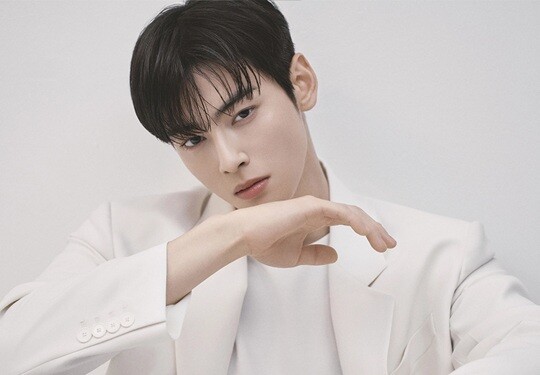 이번 탈세 의혹의 중심에 선 차은우 모친 법인이 유한회사로 조직 변경한 것을 두고 그 목적에 관심이 쏠리고 있다. 사진=판타지오 제공