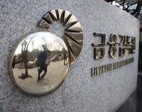 수사 효율과 권력 비대 사이…금감원 ‘인지 수사권’ 둘러싼 논쟁