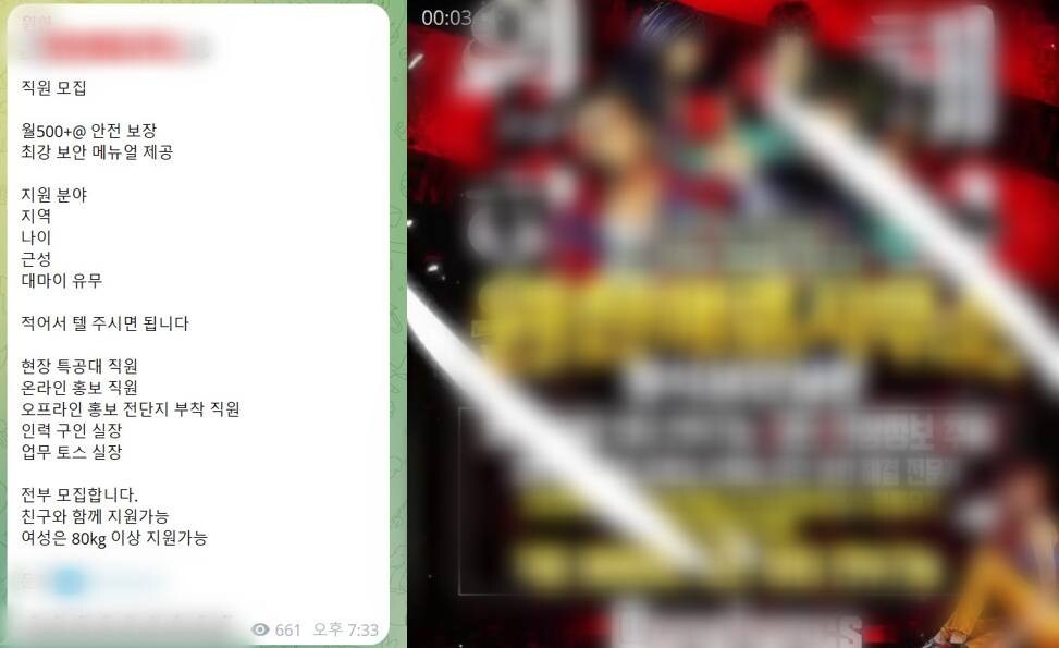 최근 잇단 보복 대행 범죄의 배후로 추정되는 조직의 구인글 및 소개 포스터. 사진=한승구 기자