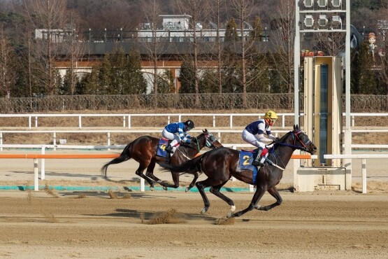 스피드영 26년 세계일보배 우승 장면. 사진=렛츠런파크 부산경남 제공